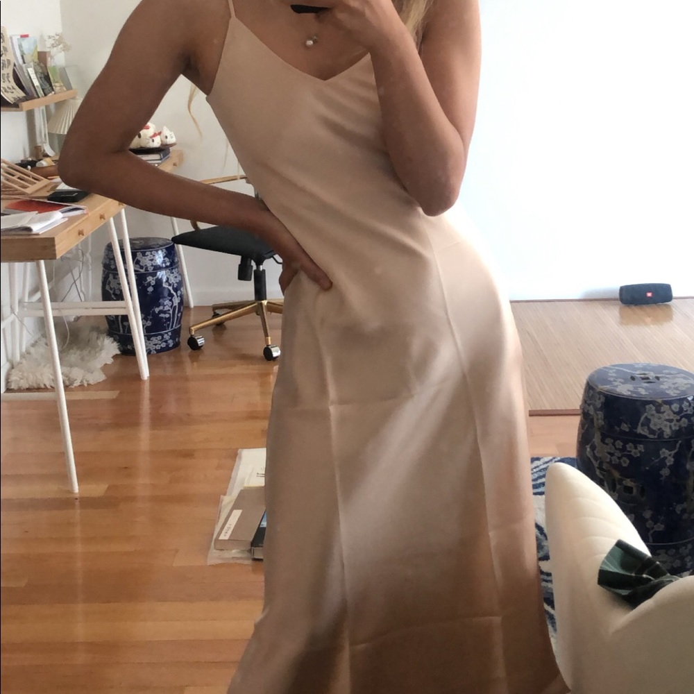 NWT Blush Triacetate Slip Dress